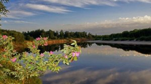 Зачем меня окликнул ты