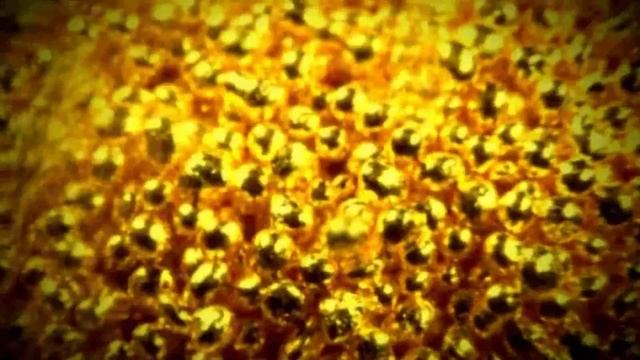 DEUS PICTOR смотреть онлайн