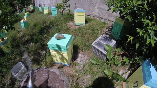 Плодные матки 2020 года. смотреть онлайн