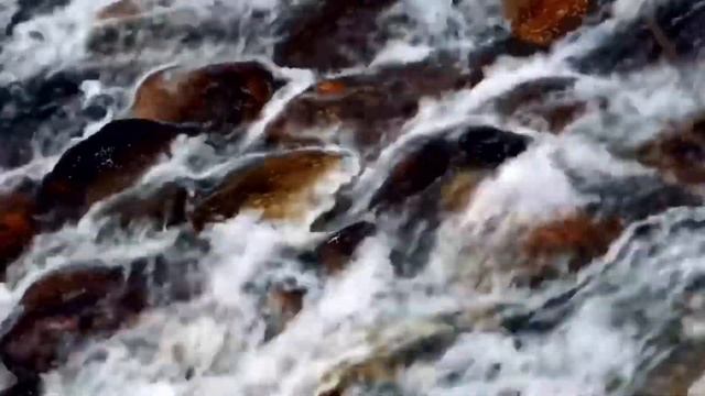 # про матерей# стихи смотреть онлайн