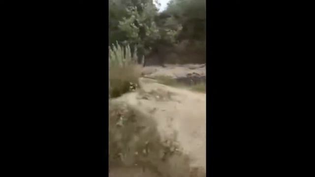 Рассеюшка. Что происходит с этой страной? смотреть онлайн