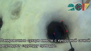 На что ловить леща зимой. Рецепт Прикормки. Универсальная прикормка для леща. Зимняя прикормка.