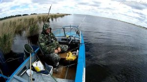 Рыбалка оз. Чаны. Хороший улов в первый выход. Разведка удалась. Окунь Судак Щука Видео 2021