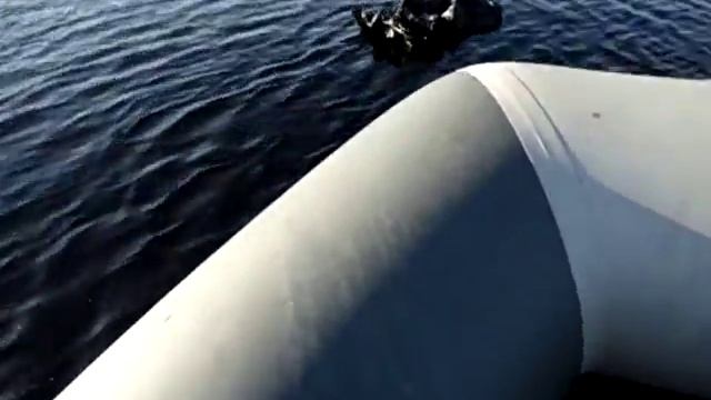 Альбатрос 360 Е и Хайди 9.9 против течения замер скорости