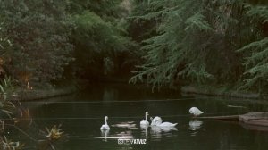 Елимдек Ёпишиб Олган Душмандан Қутилиш Учун Ӯқиладиган Дуо!