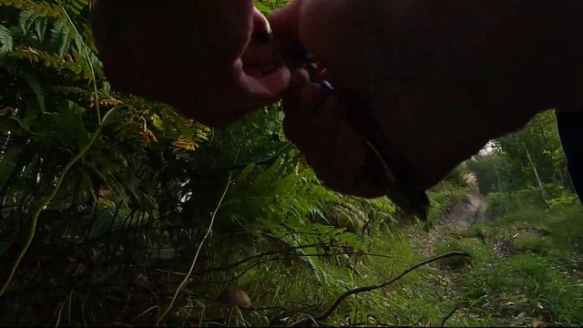 За грибами в Карелии. Лумиваара