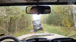 Экспедиция по бывшим деревням Новгородской области. День третий