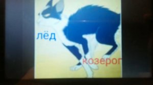 Гороскоп котов воителей из крового племени кто ты пиши в коментарии