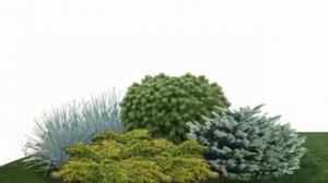 Ландшафт бистро. Илья Васецкий Ландшафтный дизайн.