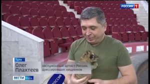 В тульском цирке появился на свет тигролев