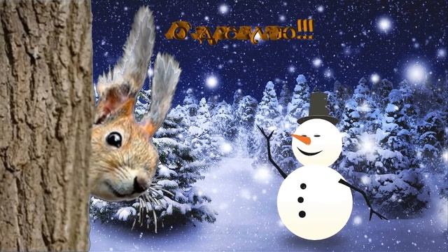 С НОВЫМ ГОДОМ ! Новый год Свиньи (Кабана) поздравления от белочки !