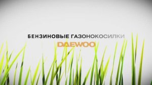 Газонокосилки бензиновые Daewoo. Обзор