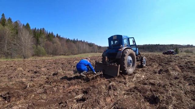 Вспахали и засадили 700 кустов виктории. смотреть онлайн