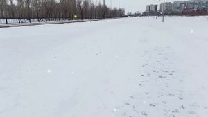 Свекровь в загсе оскорбила невесту, назвав ее нищенкой. Все присутствующие рассмеялись...
