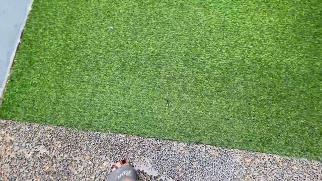 PLANTS & OUTDOOR SHELF UPDATE + CARE TIPS | ROMA SO