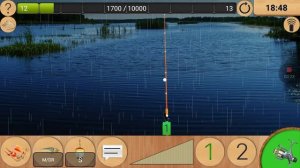 Ловим канального сомика