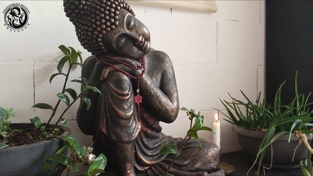 Relaxing Music Qigong - Ma Wang Dui Dao Yin Shu смотреть онлайн