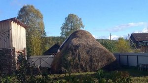 Супер способ хранения моркови//Малина в сентябре//Горение сажи в дымохое.