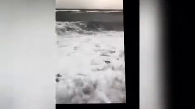 ბედნიერი იყავი🖤bednieri iyavi ეკა თარგამაძე смотреть онлайн