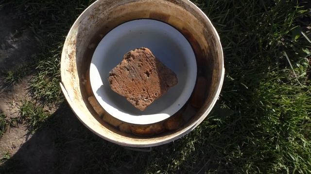 Чем подкормить огурцы если нет навоза ??? смотреть онлайн