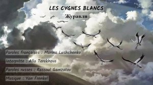 LES CYGNES BLANCS (chanson russe en français) - ЖУРАВЛИ (на французском)
