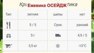 ЕЖЕВИКА ОСЕЙДЖ - РАННИЙ сорт БЕЗ ШИПОВ. ВКУСНАЯ СРЕДНЯЯ ЯГОДА. ОПИСАНИЕ СОРТА, характеристики ОТЗЫВ