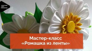 Мастер-класс «Ромашка из ленты»