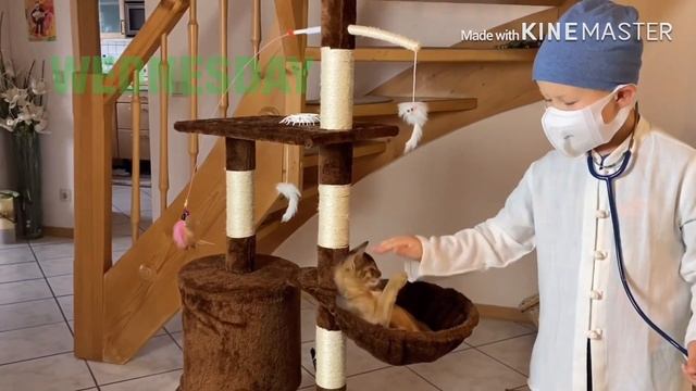 Названия дней недели на английском.Wochentage auf Englisch.Days of the week. смотреть онлайн