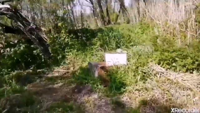 Я нашёл автомат в речке
