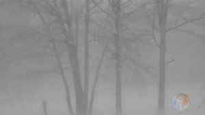 Душевная песня из репертуара Ольги Воронец