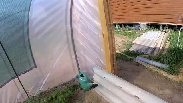 Арочная теплица готова! Что с этого вышло . Сравнение рассады в теплице и в открытом грунте.