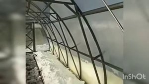 Правильный выбор теплицы. 8 лет эксплуатации на участке