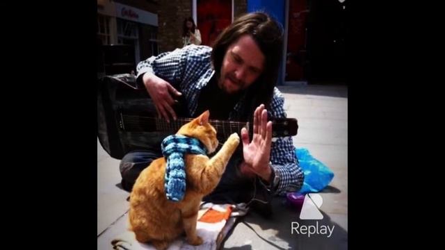 Уличный кот по имени Боб смотреть онлайн