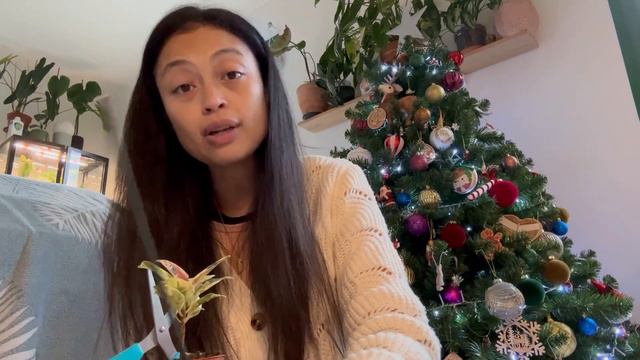 unboxing plante - mon come back смотреть онлайн