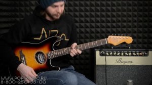 Необычные электроакустические гитары. Обзоры лучших товаров, выпуск #20