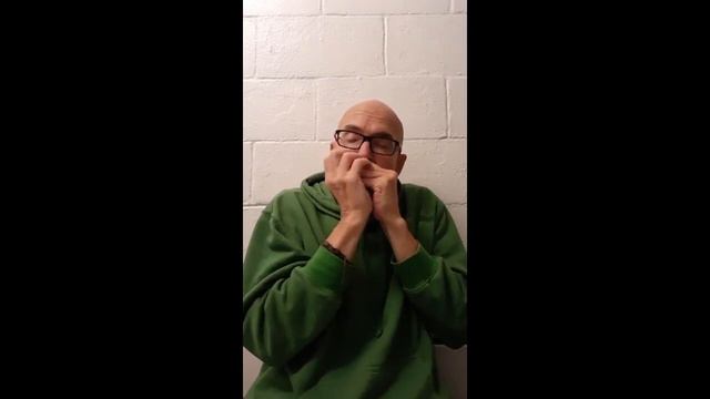 Blues harmonica learning and perfromance, CONJURER HARMONICA as your first harmonica смотреть онлайн