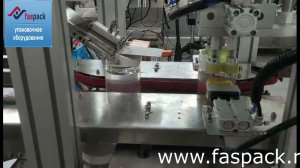 Автоматическая укупорочная машина с подачей крышек CDXGZ 1