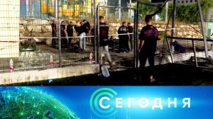 «Сегодня»: 29 июля 2024 года. 08:00 | Выпуск новостей | Новости НТВ