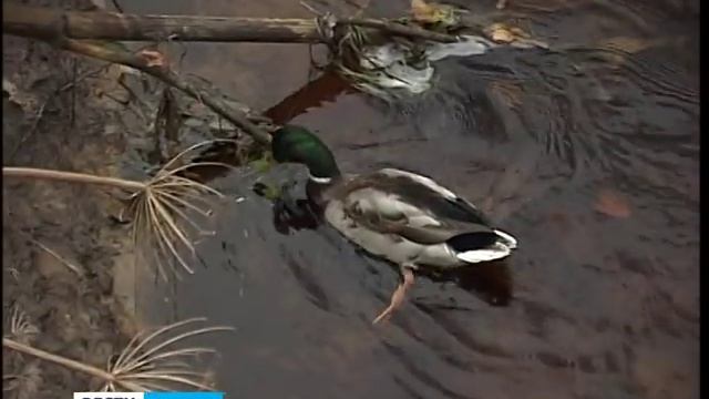 В Лумбушах идёт капремонт 2 мостов смотреть онлайн