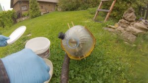 Прилетел рой пчёл и началось. Роение пчёл. Вторая серия