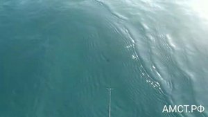 Часы AMST 3003 тест на воду