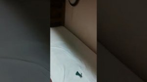 Григорий Пирогов теплоход речфлот