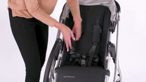 Регулирование пятиточечных ремней безопасностей на прогулочных колясках UPPAbaby VISTA V2, CRUZ V2