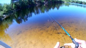 Воблер Kosadaka Ion XS90,отзыв и видео игры под водой на водоеме!