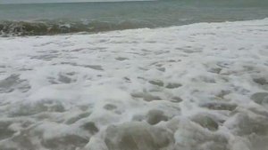 #ЛОО. Черное Море. Погода 2.12.2018 #Lazarevskoe. Black Sea. Weather