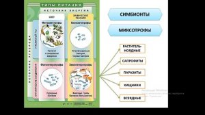 Метаболизм.Типы питания и дыхания. 10 класс