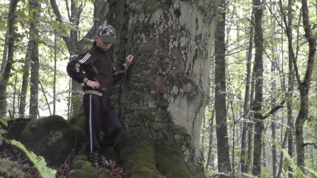 Верховье Кызыл-бека. смотреть онлайн