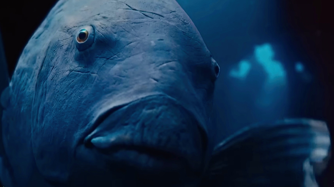 BLUEBACK Official Trailer (2023).mp4 смотреть онлайн