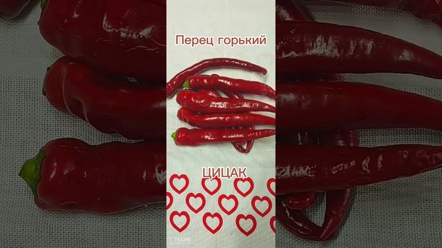 Продаю семена коллекционных томатов и перца.