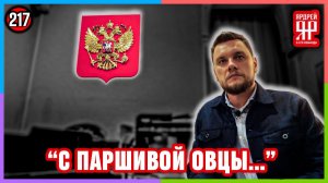 Спасли от беды /// Социальный Ярдрей #11